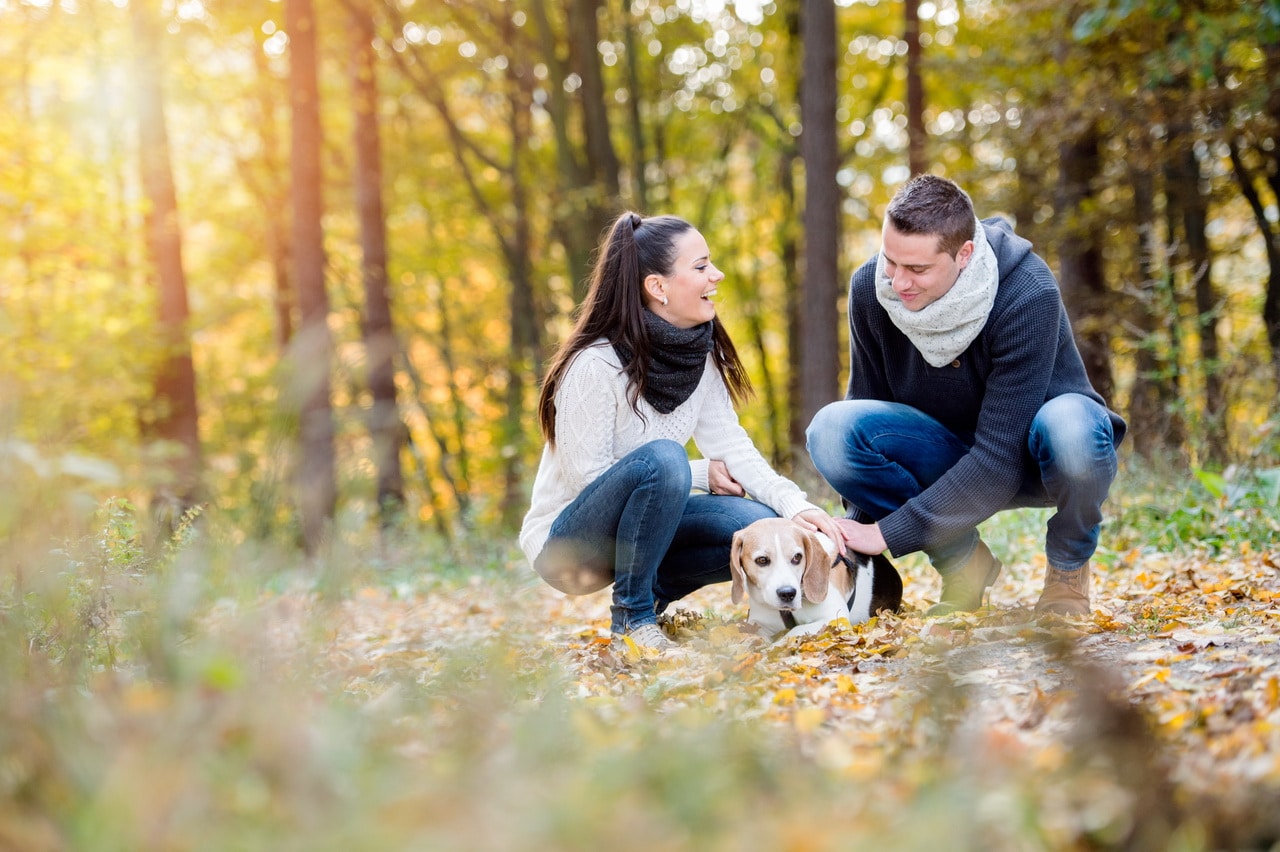 Beautiful Young Couple Walking A Dog In Autumn Forest